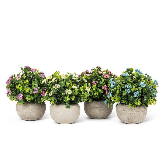 LOW FLOWERING PLANT POT